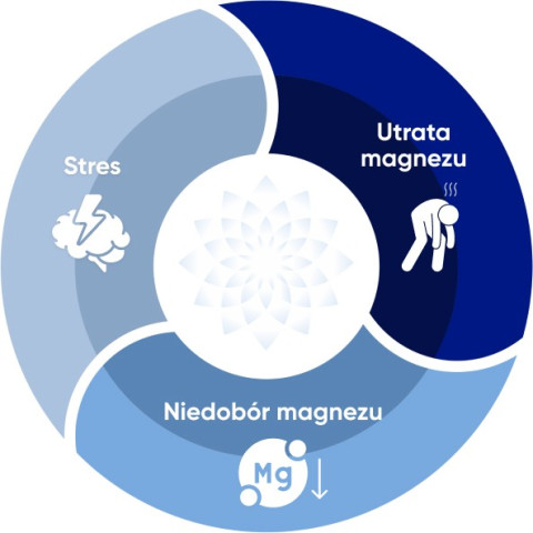Objawy niedoboru magnezu zobrazowane na infografice Objawy niedoboru magnezu zobrazowane na infografice