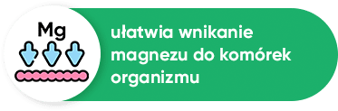 ułatwia wchłanianie magnezu ułatwia wchłanianie magnezu