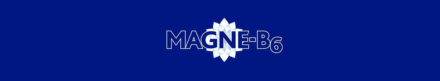 Magne-B6